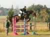 jumper Melkor (Polish Warmblood, 2006, from Quamiro)