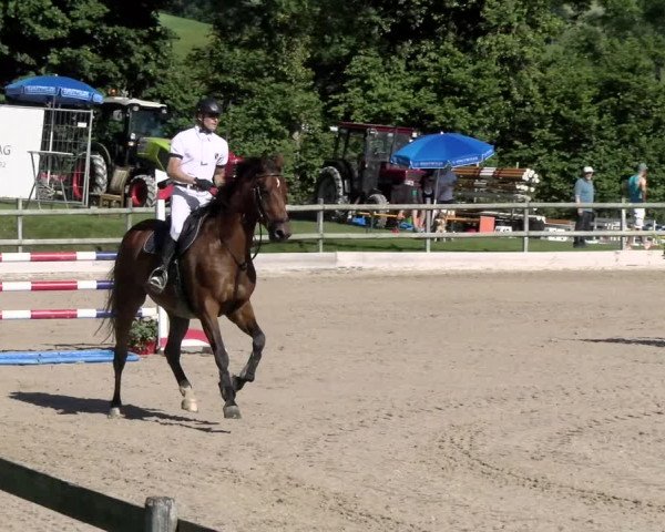 Reitturnier Ruswil 2022