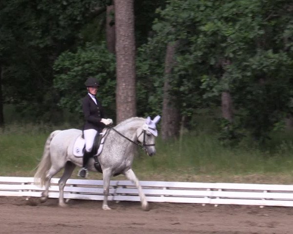 Reitturnier Wörmlitz 2022