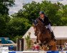 Springpferd Jarco van Equinta (Belgisches Warmblut, 2009, von Darco)