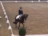 dressage horse Daiquiri 42 (German Riding Pony, 2000, from Durello)