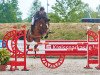 jumper Beatriz (Oldenburg show jumper, 2003, from Balou du Rouet)