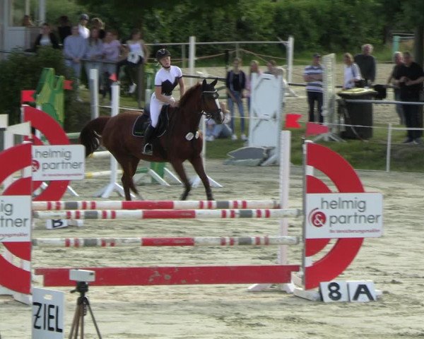 Reitturnier Ascheberg 2022