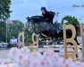 jumper Petit Cristal (Oldenburg show jumper, 2017, from Cristallo I)