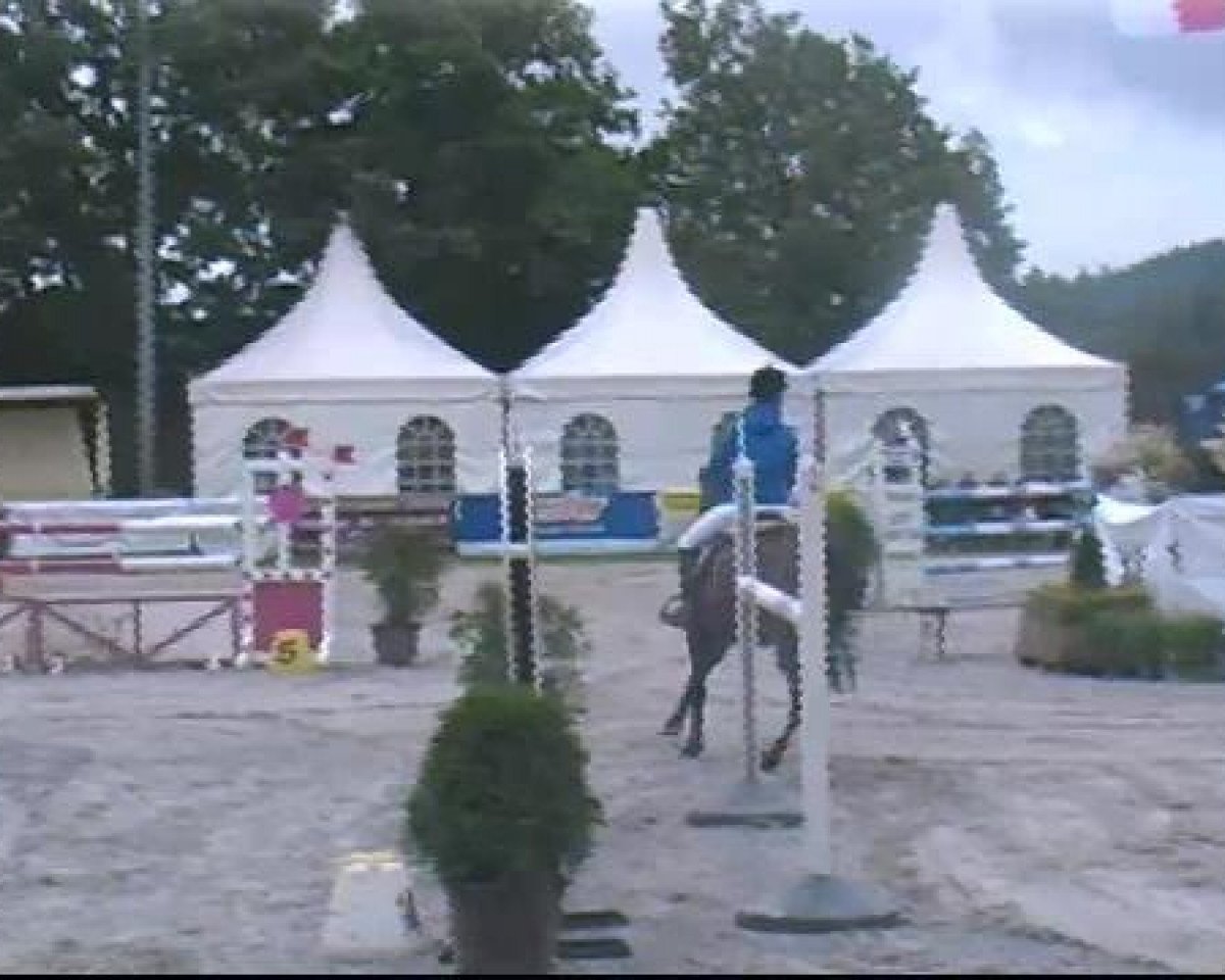 broodmare Foxi 70 (Hanoverian, 2000, from Fabriano)