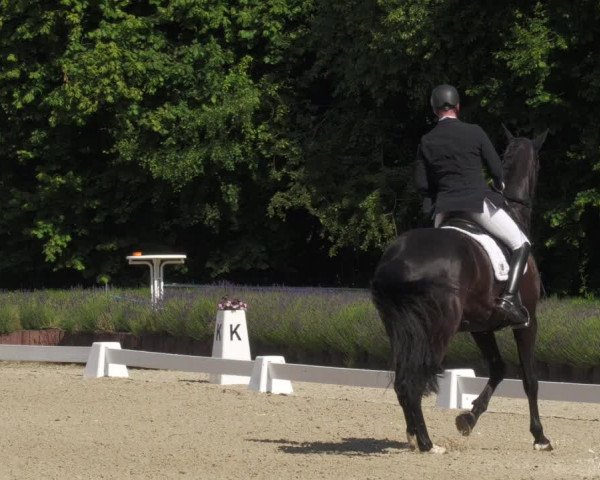 Reitturnier Lindlar - Reitanlage Dückers 2022