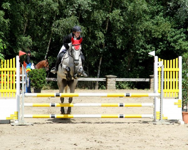 jumper Boljero (German Sport Horse, 2002)