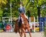 jumper Chaccolina 10 (Hanoverian, 2017, from Chacoon Blue)