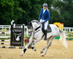 jumper Spinelly MS (Oldenburg show jumper, 2016, from Special Effect)