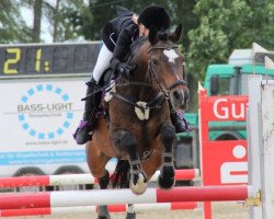 jumper Maracay (German Riding Pony, 2001, from Mentos)