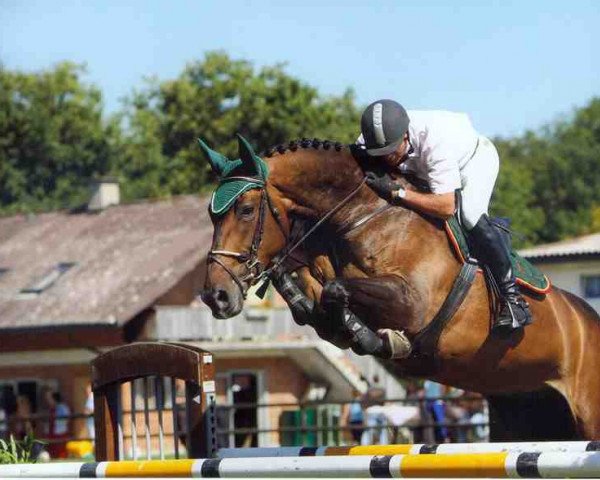 Springpferd Miss Kentucky (Belgisches Warmblut, 1996, von Nabab de Rêve)