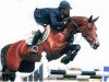 Pferd Narcotique II de Muze (Belgium Sporthorse, 1997, von Darco)