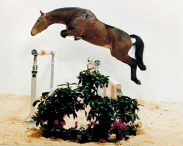 stallion Gorbi (Hessian Warmblood, 1987, from Golem)
