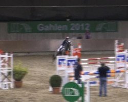jumper Oxiet's my Jemen (KWPN (Royal Dutch Sporthorse), 1996, from My Jemen)