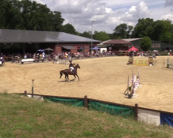 Reitturnier Reken 2022