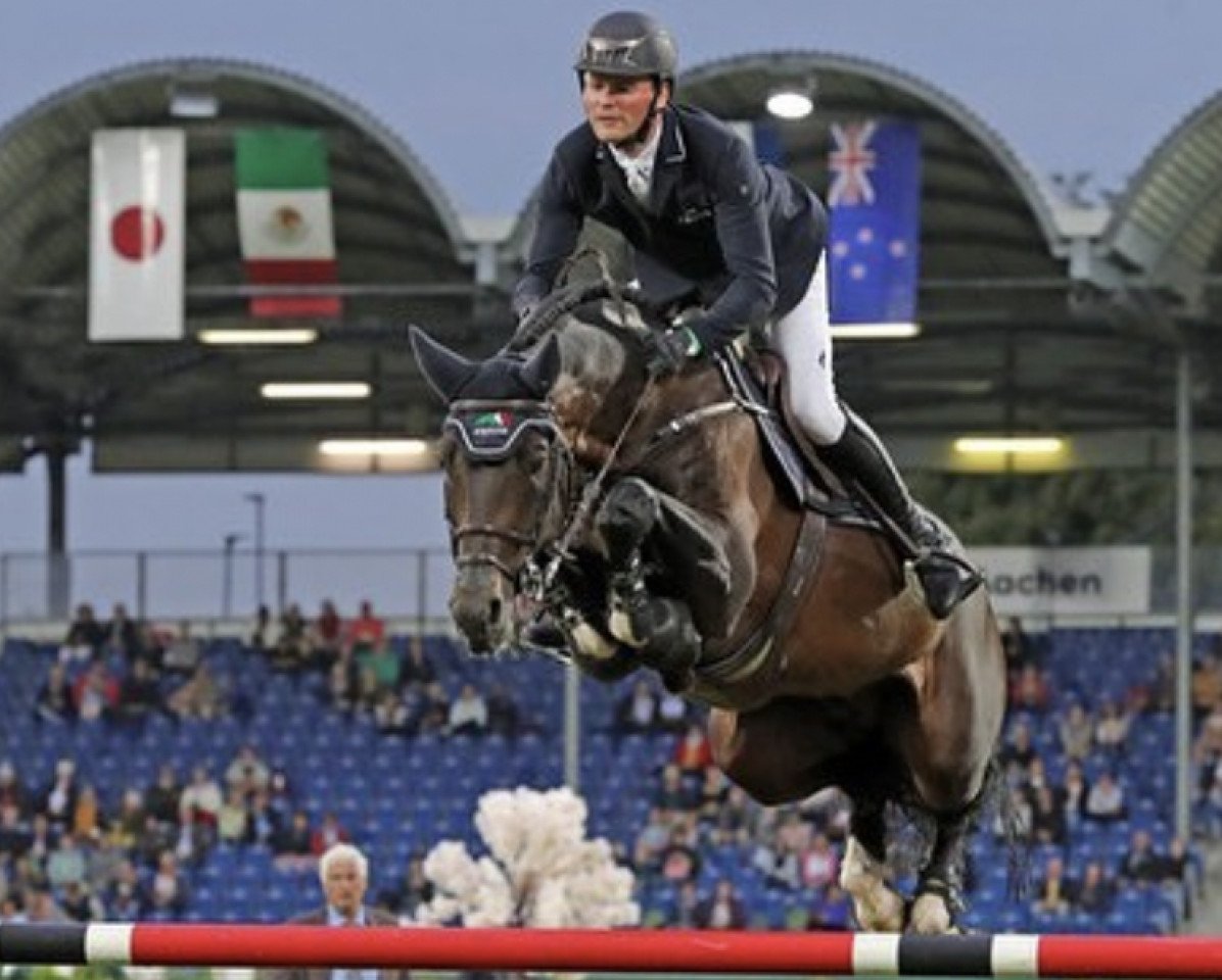 Deckhengst Don Diarado (Rheinländer, 2009, von Diarado)