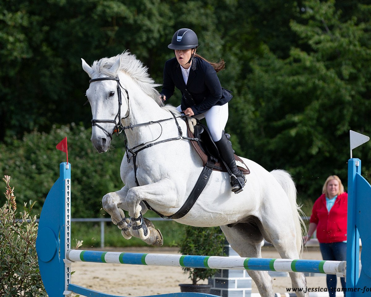 Springpferd Brigand des Biez (Belgisches Warmblut, 2007, von Rexar du Houssoit)