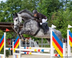 dressage horse Casino's Cuban Break (Hanoverian, 2015, from Casino Berlin OLD)