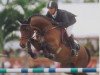 jumper BB Carvallo (Holsteiner, 1995, from Carthago)