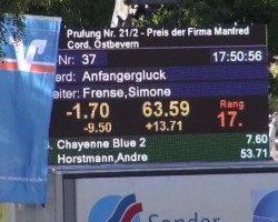 Springpferd Anfängerglück (Westfale, 2007, von Argentinus)