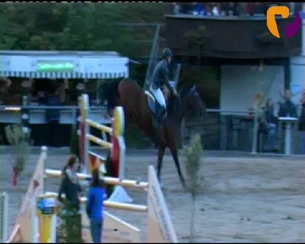 jumper Ramazotti 83 (Oldenburg, 1997, from Rouletto)