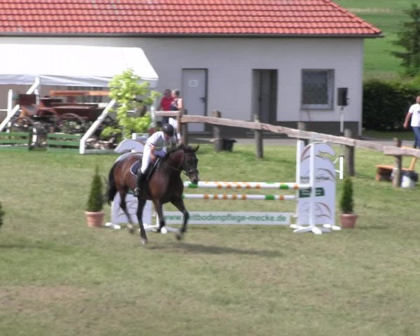 Reitturnier Wingerode 2022