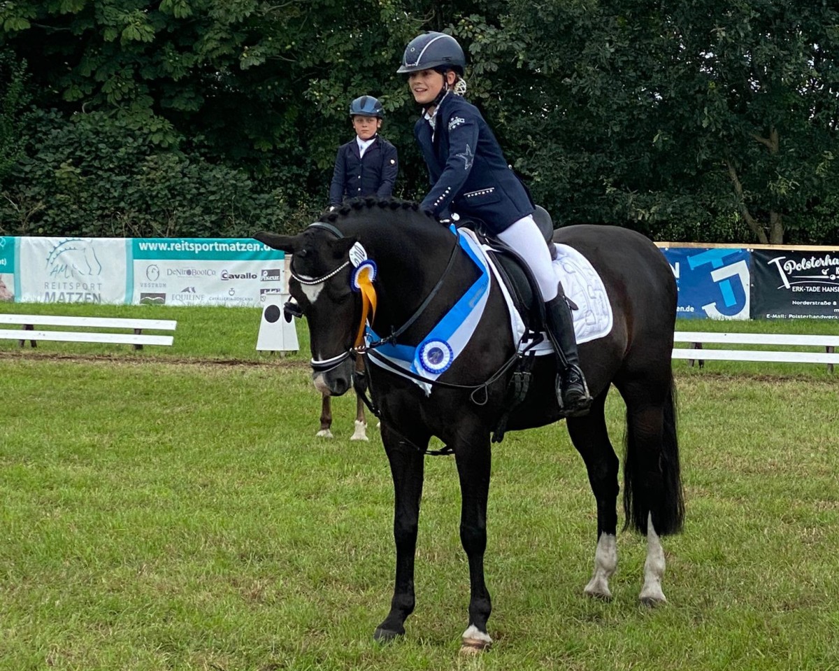 Dressurpferd Claus Von Calva (Deutsches Reitpony, 2010, von Calvados)