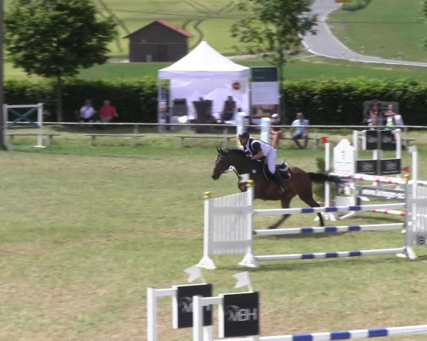 Reitturnier Wingerode 2022