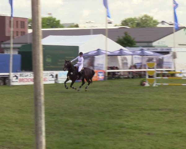 Reitturnier Rendsburg 2022