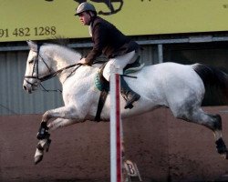 broodmare Silivri xx (Thoroughbred, 2002, from Silver Patriarch xx)