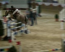 jumper Cheyenne 607 (German Riding Pony, 1999, from Fs Chiwago)