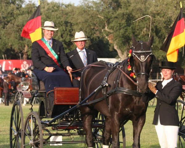 horse FST Elmor (Heavy Warmblood, 1995, from Eschenbach)