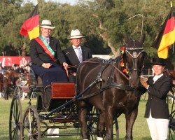 Pferd FST Elmor (Schweres Warmblut, 1995, von Eschenbach)