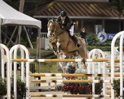 jumper Taloubet (KWPN (Royal Dutch Sporthorse), 2000, from Baloubet du Rouet)