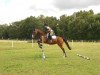 dressage horse La Leonessa (Westphalian, 2005, from Laurentio)