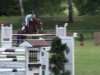 jumper Pebbels Flintstone (German Sport Horse, 2004, from Paulaner)