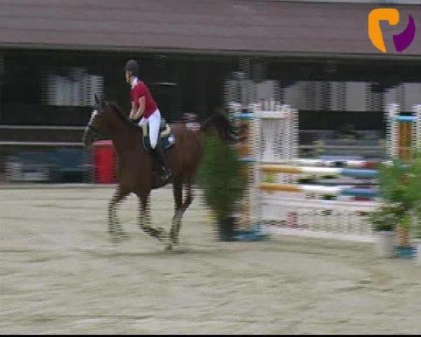 jumper Emily (Hanoverian, 2006, from Espri)