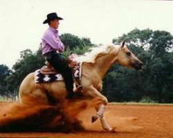 stallion Jacs Great Spirit (Quarter Horse, 1991, from Hollywood Jac 86)