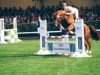 stallion Peridot (Hanoverian, 1994, from Pinkus)