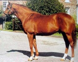 stallion Keen xx (Thoroughbred, 1981, from Sharpen Up xx)