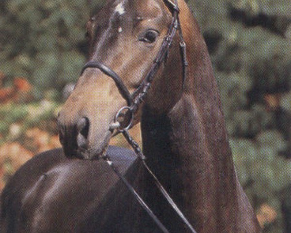 stallion Landstern (Oldenburg, 1987, from Landadel)