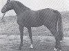 stallion Corvado (Holsteiner, 1976, from Cor de la Bryère)