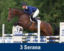 Dressurpferd Serana 3 (Oldenburger, 2007, von Serano Gold)