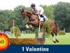 jumper Valentine FRH (Hanoverian, 2007, from Valentino)