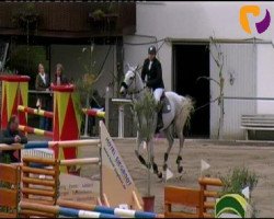 jumper Little Miss Sunshine 10 (Belgian Warmblood, 2003, from Lipton)