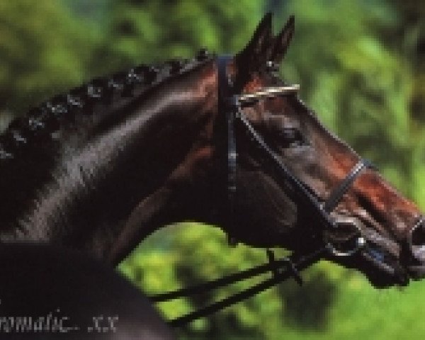 stallion Chromatic xx (Thoroughbred, 1981, from Relkino xx)