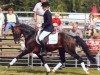 stallion King Bjuti (German Riding Pony, 1996, from Kaiserjaeger xx)