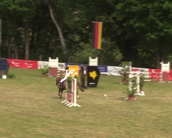 Reitturnier Lengenfeld/Vogtl. 2022