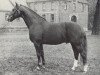stallion Duden II (Hanoverian, 1960, from Duellant)