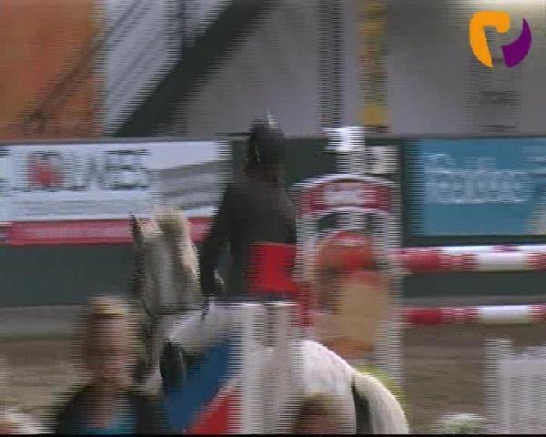 broodmare Cool little Coco (Holsteiner, 2001, from Counter)
